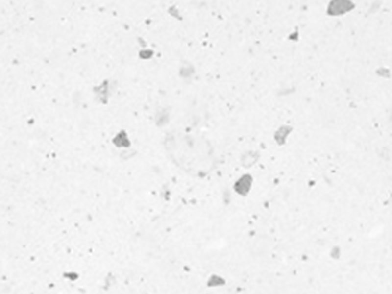 Textura macro de Blanco Esperanza