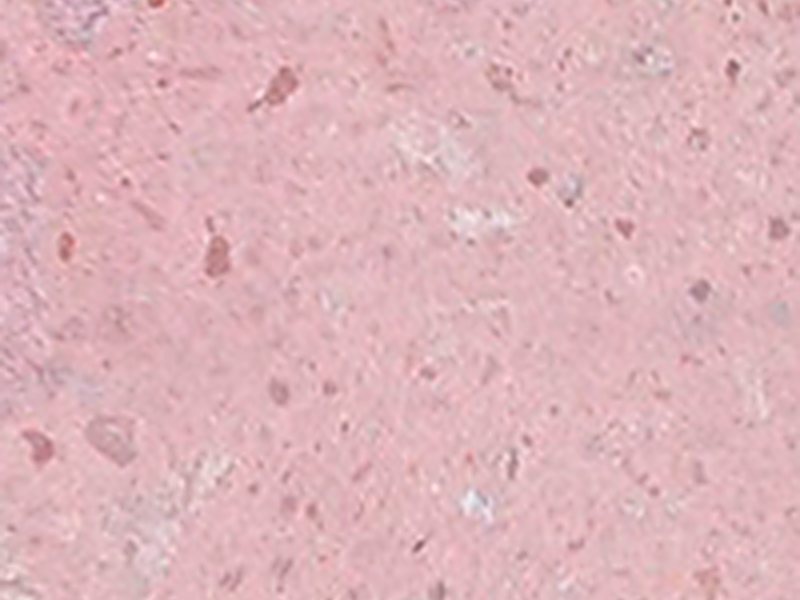 Textura macro de Cantera Rosa Aculco